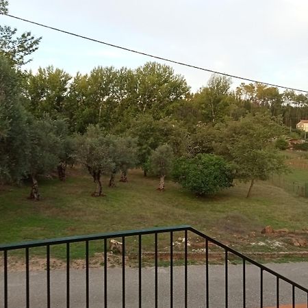 Alojamento Local - Casa Amarela Alvaiázere Екстериор снимка